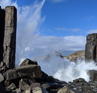 Erupting Blowholes and Ancient Rainforests with 'Personalised Sydney Tours' - Attractions Sydney