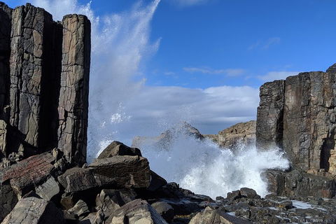Erupting Blowholes And Ancient Rainforests With 'Personalised Sydney Tours' - Attractions Sydney 0