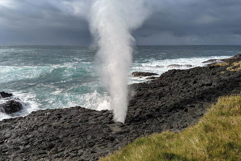 Erupting Blowholes And Ancient Rainforests With 'Personalised Sydney Tours' - Attractions Sydney 1