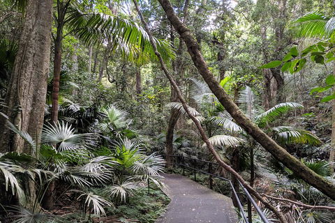 Erupting Blowholes And Ancient Rainforests With 'Personalised Sydney Tours' - Attractions Sydney 2