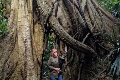Erupting Blowholes And Ancient Rainforests With 'Personalised Sydney Tours' - Attractions Sydney 4