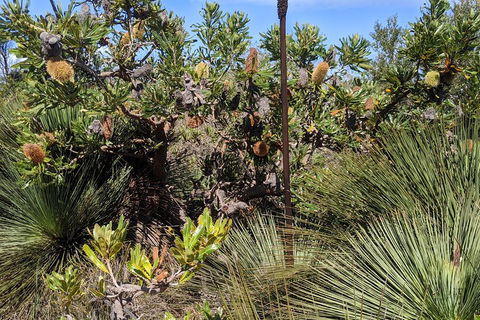 Australian Wildlife & Waterfalls Private Tour With 'Personalised Sydney Tours' - Attractions Sydney 1