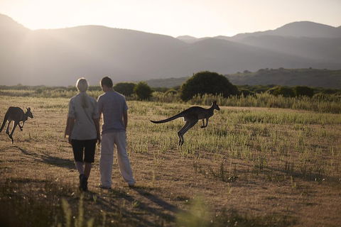 Overnight Daylesford And Macedon Ranges Gourmet Food Trail Tour From Melbourne - Attractions Sydney 1