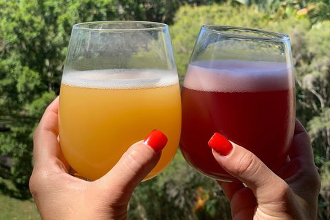 Hipster Sipster Brewery And Distillery Tour - Attractions Sydney 3