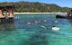 All Inclusive Dolphin And Tangalooma Wrecks Cruise - thumb 0