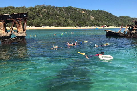 All Inclusive Dolphin And Tangalooma Wrecks Cruise - Attractions Sydney 0