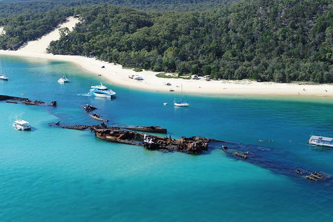 All Inclusive Dolphin And Tangalooma Wrecks Cruise - Attractions Sydney 4
