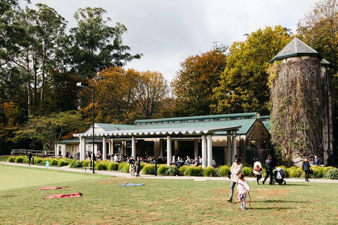 '56 Chevrolet 6-Hour Dandenong Ranges Classic Car Private Tour (4 Person) - Attractions Sydney 5