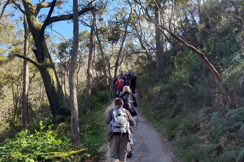 Mount Lofty Hike And Cleland Wildlife Park Day Trip From Adelaide - Attractions Sydney 3