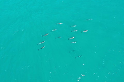 Port Macquarie Hastings Explorer - 30 Min VIP Private Flight - Attractions Sydney 4