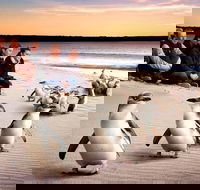 Private Tour Penguin Parade Phillip Island Tour. - Attractions Sydney