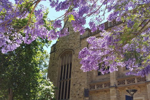 Cultural Caper Adelaide Walking Tour - Attractions Sydney 1