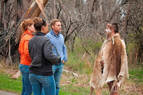 Blue Mountains Tour From Sydney With An Aboriginal Experience - Attractions Sydney 3