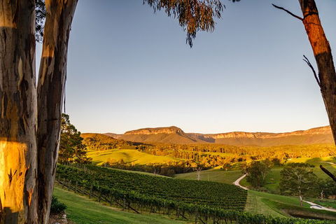 Taste Of The Blue Mountains - Lunch & Wine Tasting, Beer, Cider & Gin Tasting - Attractions Sydney 1