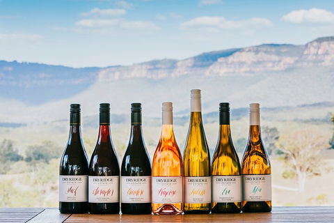 Taste Of The Blue Mountains - Lunch & Wine Tasting, Beer, Cider & Gin Tasting - Attractions Sydney 3