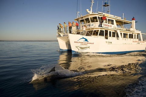 Jervis Bay Dolphin Watch Cruise - Attractions Sydney 3