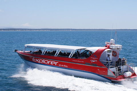 Whale Watching Jervis Bay - Attractions Sydney 1