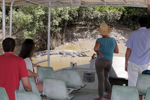 Whitsunday Crocodile Safari Including Lunch - Attractions Sydney 4