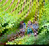 Tasmanian Wine Tour - Attractions Sydney