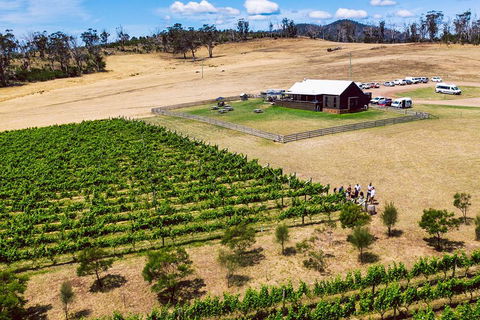 Tasmanian Wine Tour - Attractions Sydney 3