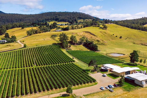 Tasmanian Wine Tour - Attractions Sydney 4
