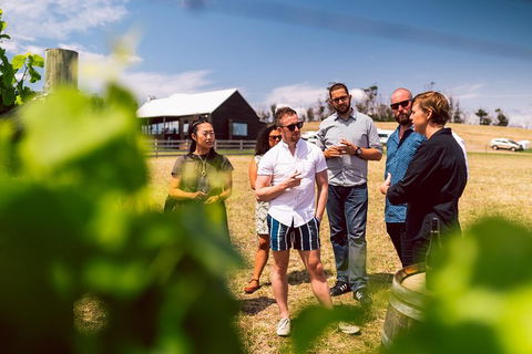 Tasmanian Wine Tour - Attractions Sydney 5