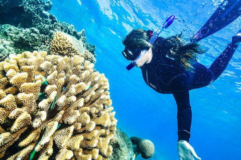 Green Island Day Trip From Cairns - Attractions Sydney 1
