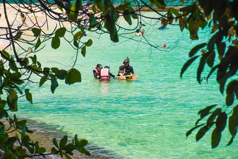 Green Island Day Trip From Cairns - Attractions Sydney 2