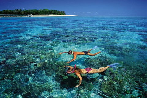 Green Island Day Trip From Cairns - Attractions Sydney 5