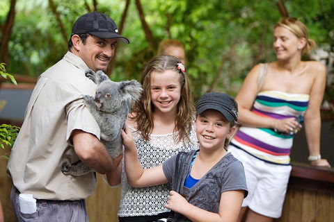 Hartley's Crocodile Adventure Half-Day Tour - Attractions Sydney 3