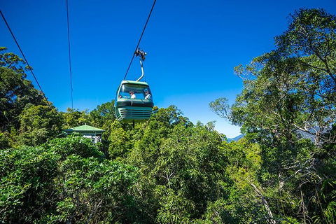 Skyrail Rainforest Cableway Day Trip From Cairns - Attractions Sydney 1