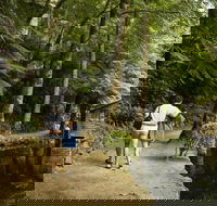 Discover Tour Dandenong Ranges  William Ricketts Sanctuary - Attractions Sydney