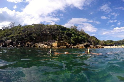 Manly And Shelly Beach Snorkeling Tour - Attractions Sydney 4