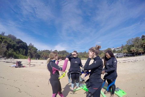 Manly And Shelly Beach Snorkeling Tour - Attractions Sydney 5