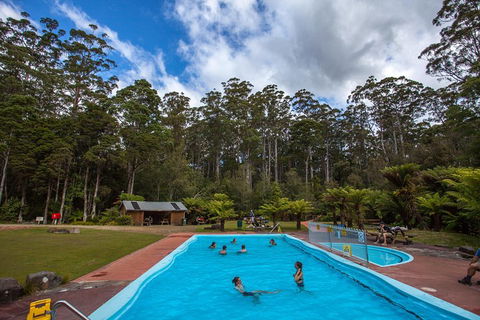 Tahune Airwalk Active Day Trip From Hobart Including Hastings Caves - Attractions Sydney 0