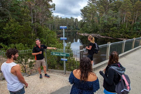 Tahune Airwalk Active Day Trip From Hobart Including Hastings Caves - Attractions Sydney 1