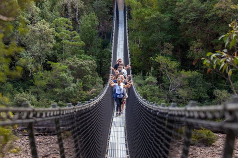 Tahune Airwalk Active Day Trip From Hobart Including Hastings Caves - Attractions Sydney 3