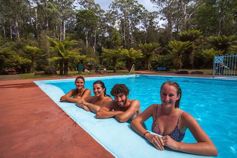 Tahune Airwalk Active Day Trip From Hobart Including Hastings Caves - Attractions Sydney 5