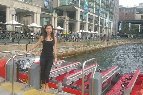 Australia Multi-City Attractions Pass - Attractions Sydney 2