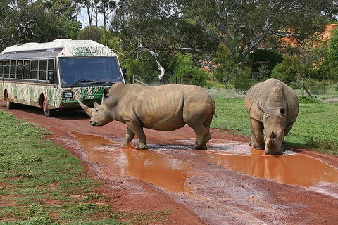 The Ultimate Melbourne Attractions Pass - Attractions Sydney 4