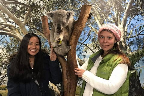 The Ultimate Sydney Attractions Pass - Attractions Sydney 1