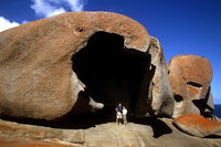 Full-Day Kangaroo Island Safari from Penneshaw, North Cape