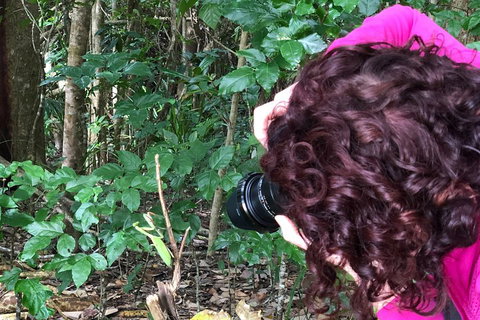 Let's Go Buggin & Let's Go Shroomin - Photography & Nature Walking Tours - Attractions Sydney 1