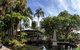 Deluxe Dinner Package By Luke Nguyen At Botanic House - thumb 5