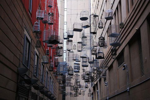 Sydney: Book A Local Host - Attractions Sydney 0
