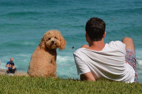 See Sydney With A Local: Private & Personalized - Attractions Sydney 5