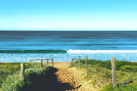 Sydney's Northern Beaches & Ku-ring-gai National Park Small Tour Departing Manly - Attractions Sydney 1