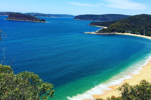 Central Coast Private Tour From Sydney, With Australian Reptile Park Option - Attractions Sydney 5