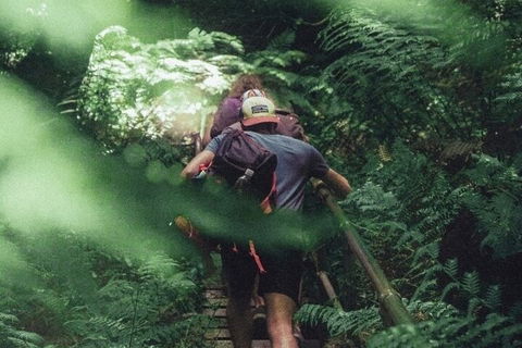 Private Day Trip At The Blue Mountains - Attractions Sydney 3