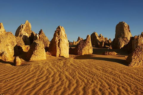 Full Day Pinnacle Desert Explorer From Perth Including Hillarys And Lancelin Sandboarding - Attractions Sydney 3